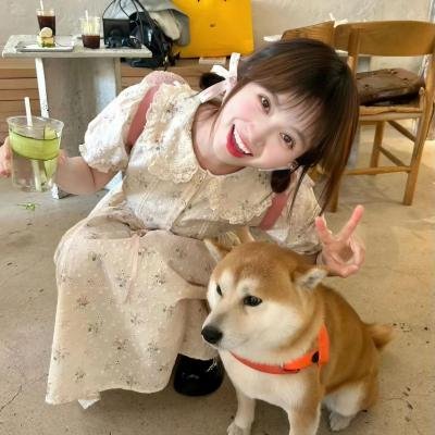 太阳、月亮、飓风